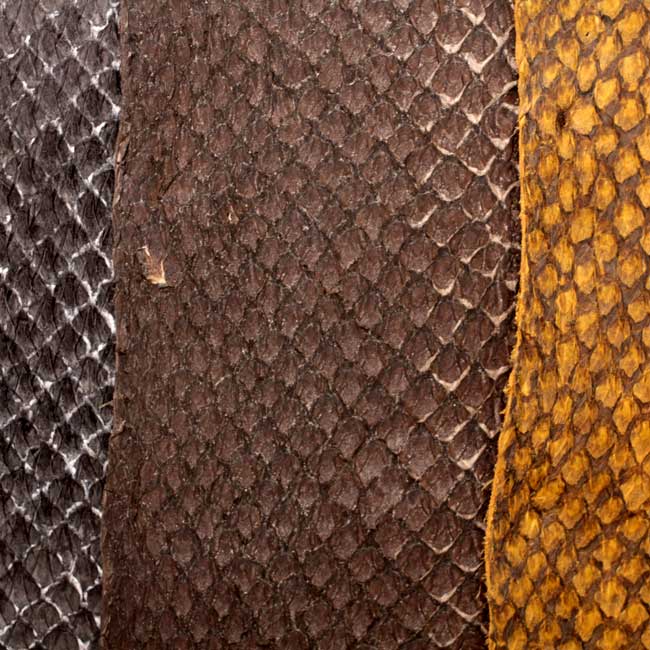 Salmonskin leather sample