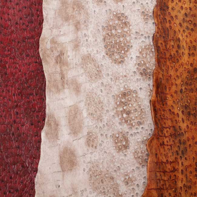 Wolffish leather skin sample