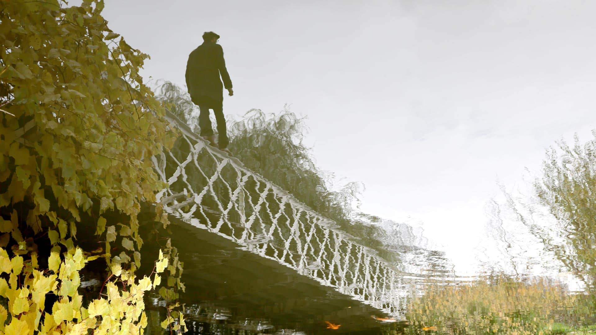 Bogudgivelse på vej